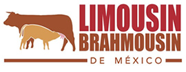 Asociación de criadores de ganado Limousin - Brahmousin de México
